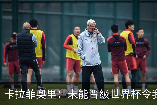 卡拉菲奥里：未能晋级世界杯令我失落，但我会以此激励自己